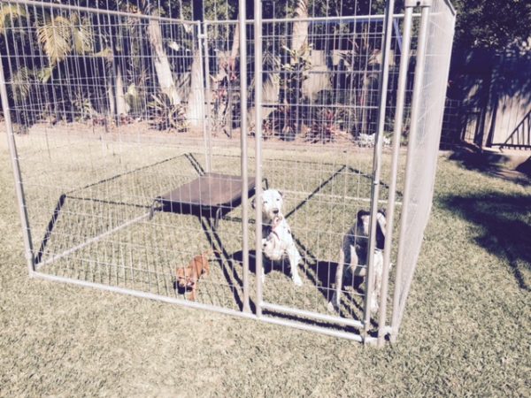 Curated visual reference: Picture Idea: Temporary Dog Enclosures Dog Fencing
